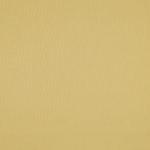 Cotone - Giallo senape chiaro