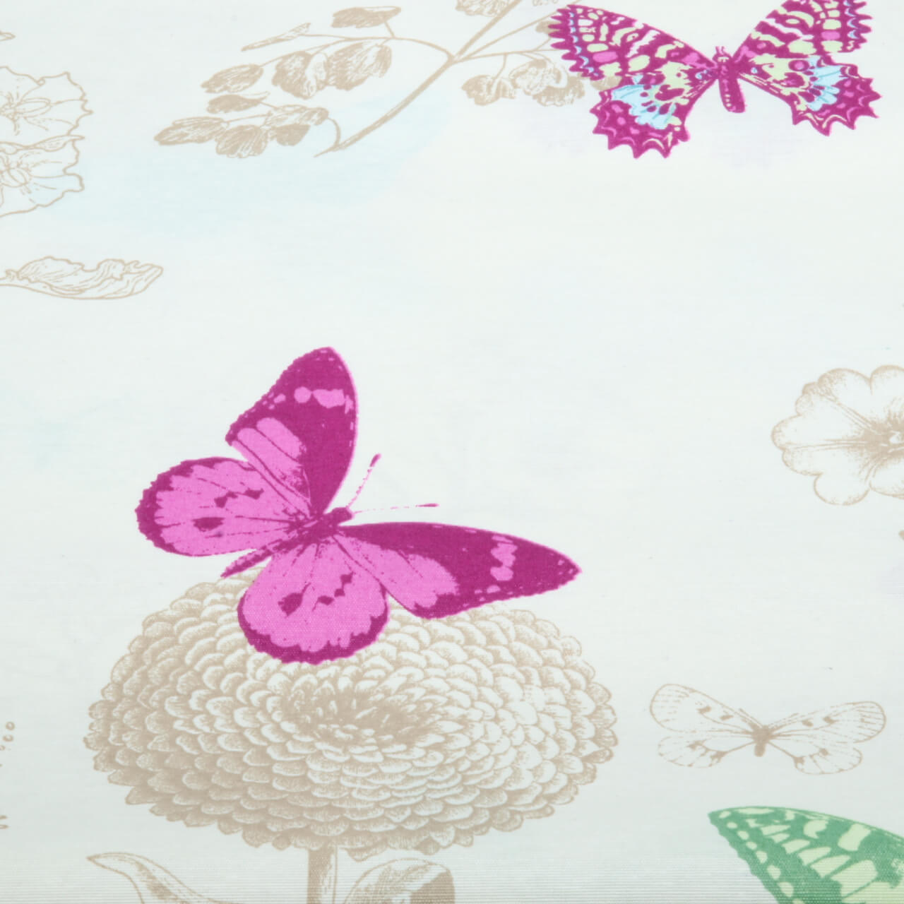 Canvas Beschichtet - Schmetterlinge Blumen Ecru-1 Canvas Beschichtet - Schmetterlinge Blumen Ecru-1