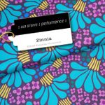 Collection Performance d'Albstoffe - Zinnia Turquoise Mauve Collection Performance d'Albstoffe - Zinnia Turquoise Mauve