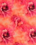 Satin de coton - Stretch Grandes fleurs rose vif