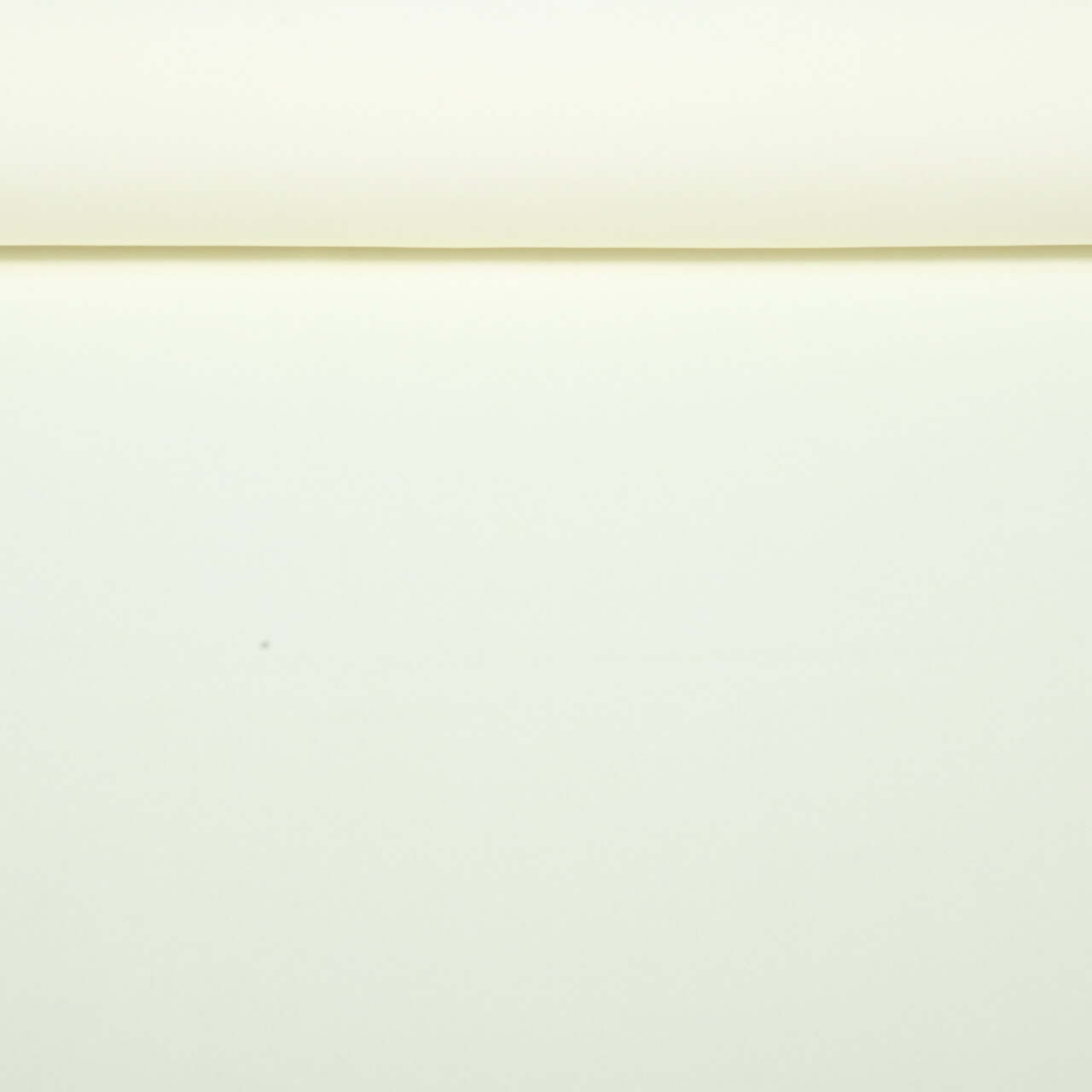 Tissu mode Bi-Stretch - Uni Ecru-0 Tissu mode Bi-Stretch - Uni Ecru-0