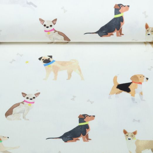 Toile canevas - Impression numérique chien Ecru