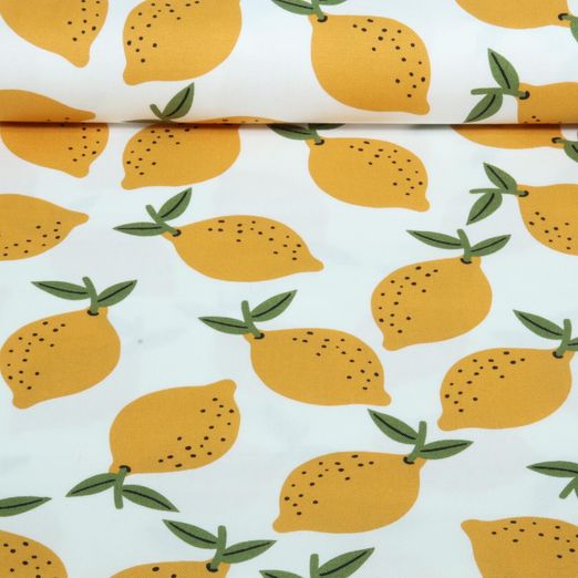 Toile canevas - Citron blanc