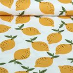 Toile canevas - Citron blanc Toile canevas - Citron blanc