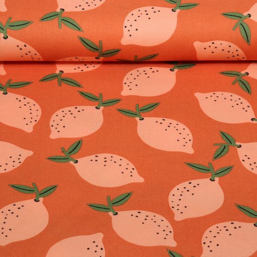 Toile canevas - Orange citron Toile canevas - Orange citron