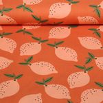 Toile canevas - Orange citron