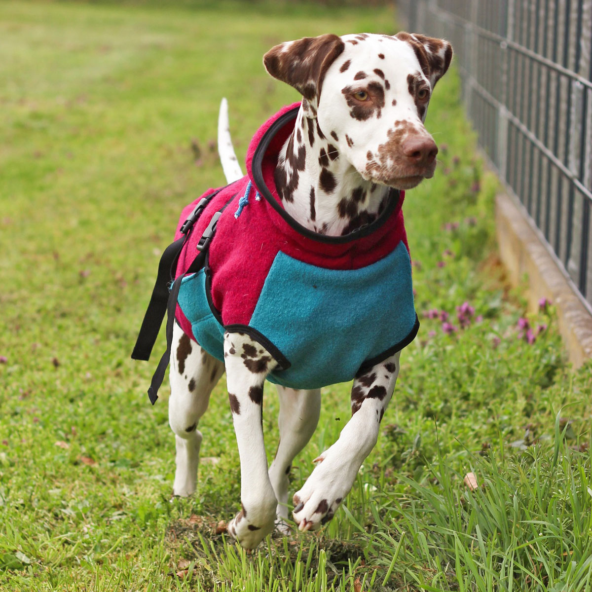 Hundejacke - Alma - Schnittmuster eBook-10 Hundejacke - Alma - Schnittmuster eBook-10