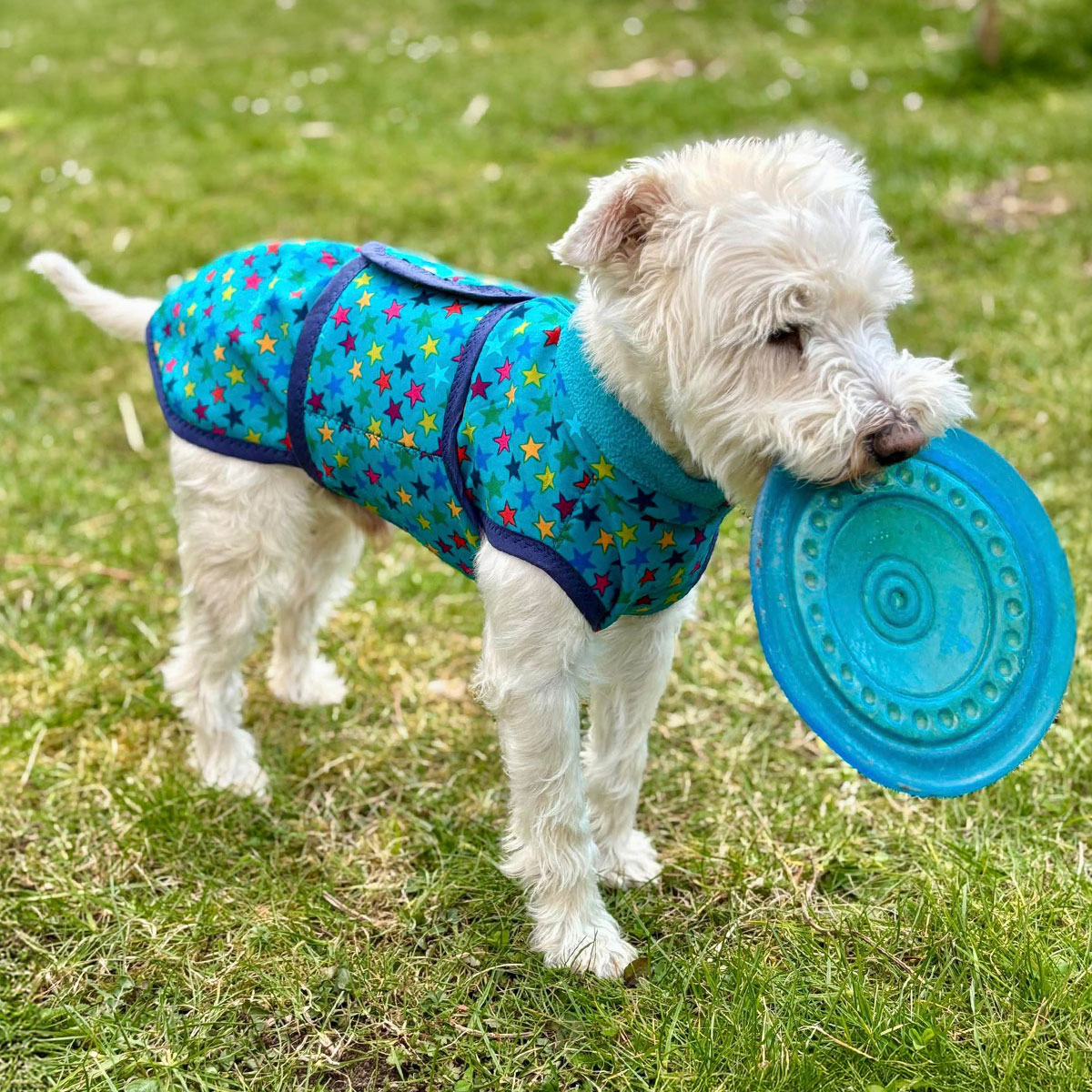 Hundejacke - Alma - Schnittmuster eBook-11 Hundejacke - Alma - Schnittmuster eBook-11