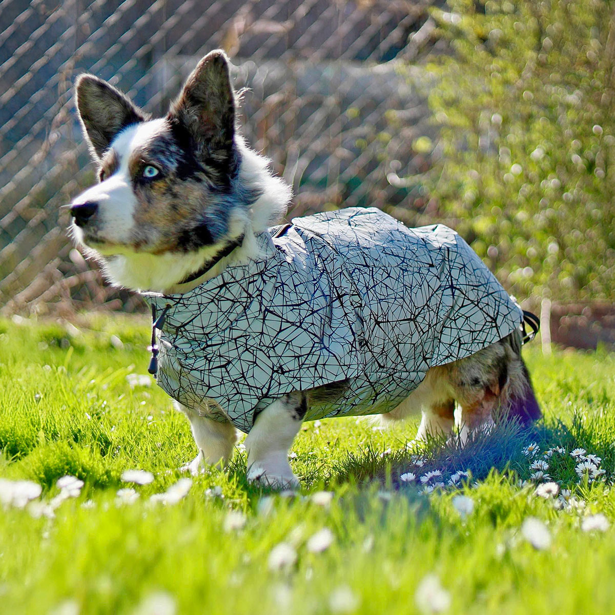 Hundejacke - Alma - Schnittmuster eBook-6 Hundejacke - Alma - Schnittmuster eBook-6