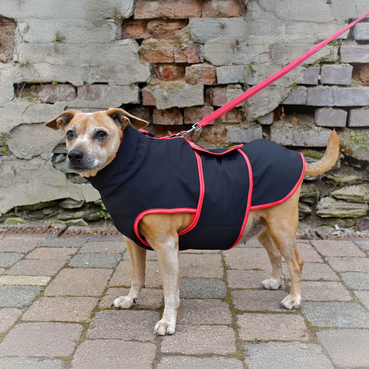 Hundejacke - Alma - Schnittmuster eBook-7 Hundejacke - Alma - Schnittmuster eBook-7