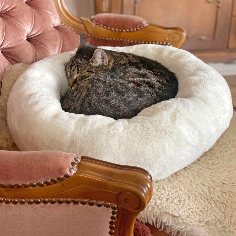 Katzenbett - Hundebett - Schnittmuster eBook-3 Katzenbett - Hundebett - Schnittmuster eBook-3
