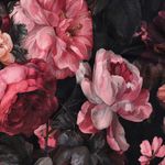 Sweater - Digital Grote bloemen Zwart Geruwd Sweater - Digital Grote bloemen Zwart Geruwd