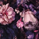 Sweater - Digitaal, grote bloemen, aubergine, geruwd Sweater - Digitaal, grote bloemen, aubergine, geruwd