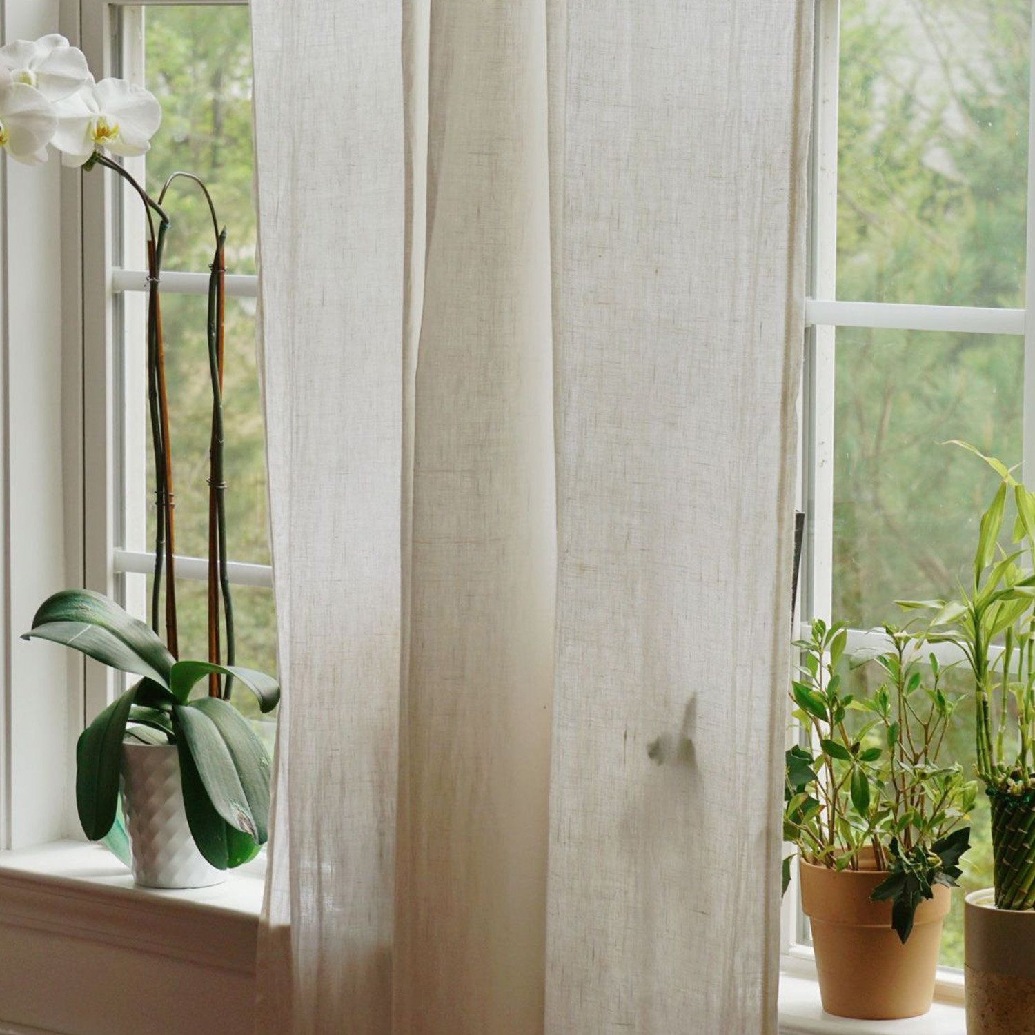 Vorhangstoff Said Uni Extrabreit 310cm -1 Vorhangstoff Said Uni Extrabreit 310cm -1