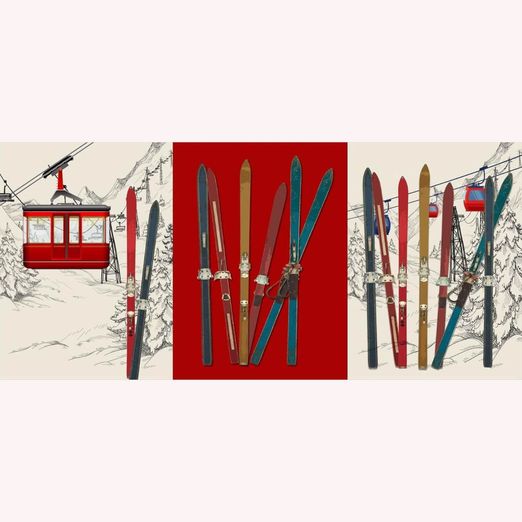 Canvas Geschirrtücher Panel - Ski Multicolor Canvas Geschirrtücher Panel - Ski Multicolor