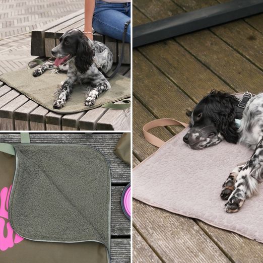 Freebie - 2in1 Hundedecke & Tasche - Gratis Nähanleitung Freebie - 2in1 Hundedecke & Tasche - Gratis Nähanleitung