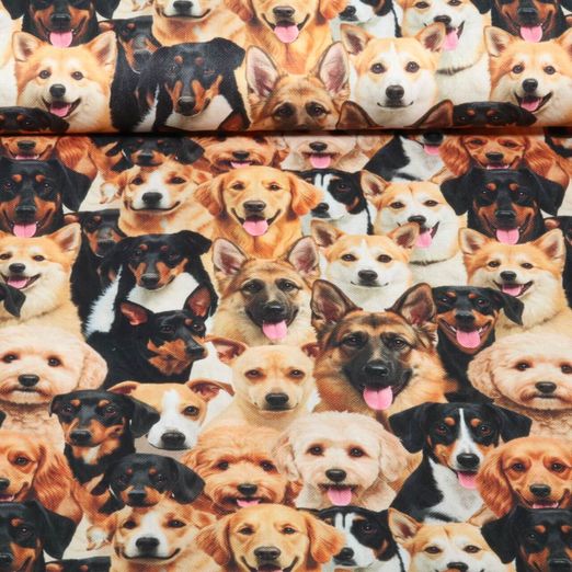 Toile canevas - Impression numérique de chiens marron et noirs