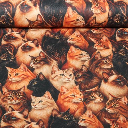 Toile canevas - Impression numérique chats marron et noirs