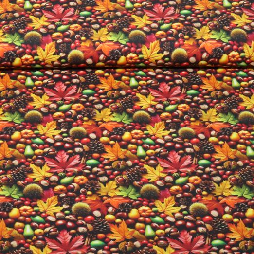 Baumwoll-Popeline - Herbstfrüchte Multicolor Baumwoll-Popeline - Herbstfrüchte Multicolor