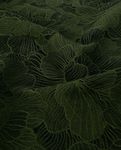 Tessuto per abbigliamento - poliestere jacquard fiori verde Tessuto per abbigliamento - poliestere jacquard fiori verde