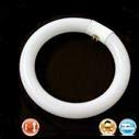 Lampenlux T9 Leuchtmittel Ringlampe Ringröhre Leuchtstoff 40W G10Q rund Kreislampe Lampenlux T9 Leuchtmittel Ringlampe Ringröhre Leuchtstoff 40W G10Q rund Kreislampe