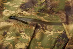 128752505-Lynx-Hose-4.png