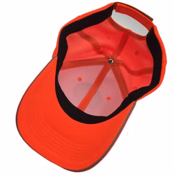 Orange-2.jpg Orange-2.jpg