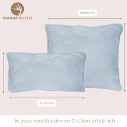 Cooling-Waidmeister-zwei-Gro--ssen.jpg Cooling-Waidmeister-zwei-Gro--ssen.jpg