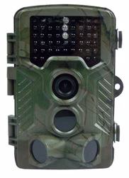 31646.jpg 31646.jpg