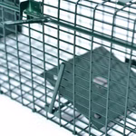 04.jpg