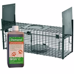 53cm-damarol.jpg 53cm-damarol.jpg