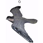 122718331-Fliegender-Falke.jpg