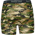 2002024-53-f02.png