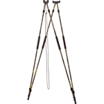 5402002-67.png