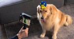 POP 2 3D Scanner 9