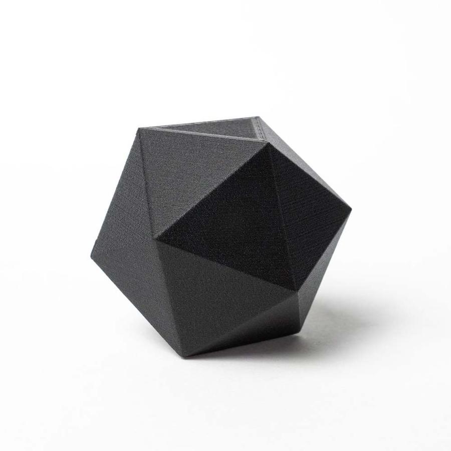 protoplant original carbon