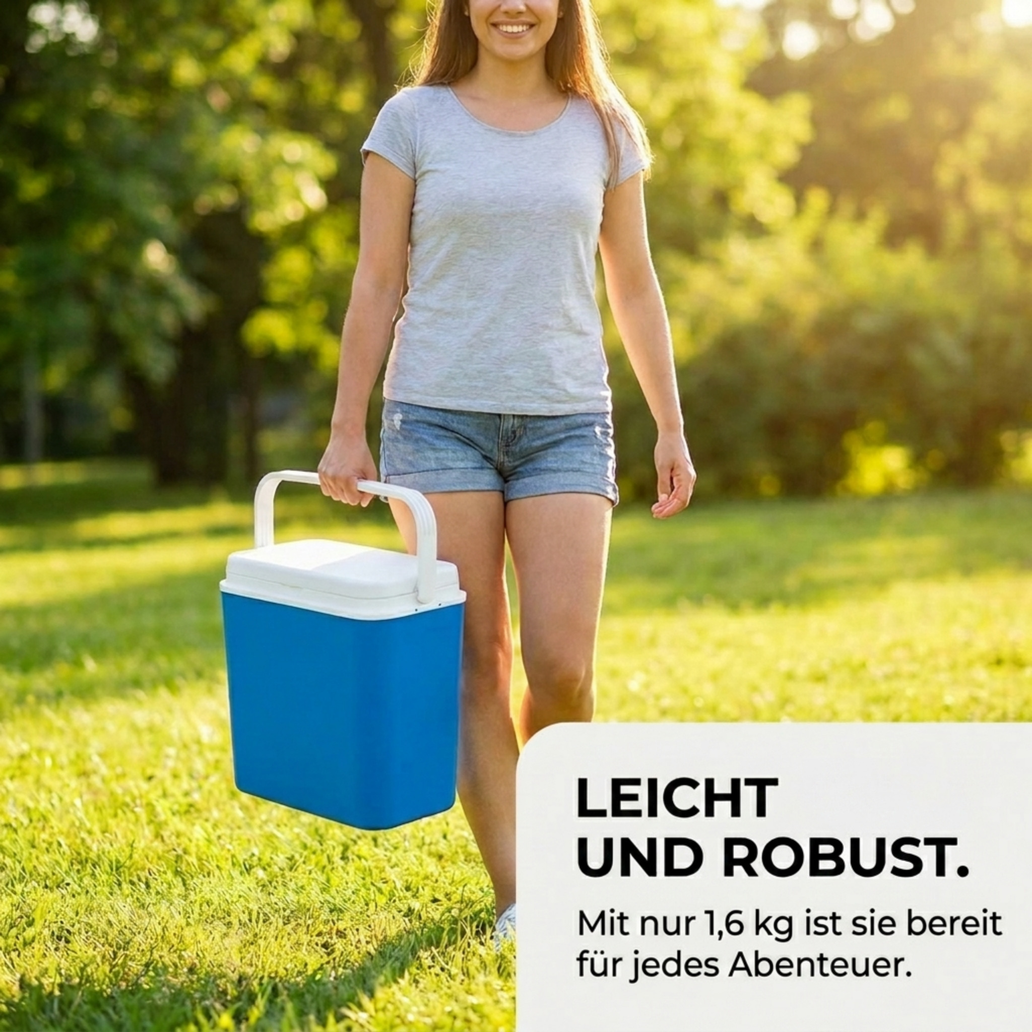 LEX Kühlbox Thermobox Warmhaltebox Picknick Camping 24 L LEX Kühlbox Thermobox Warmhaltebox Picknick Camping 24 L
