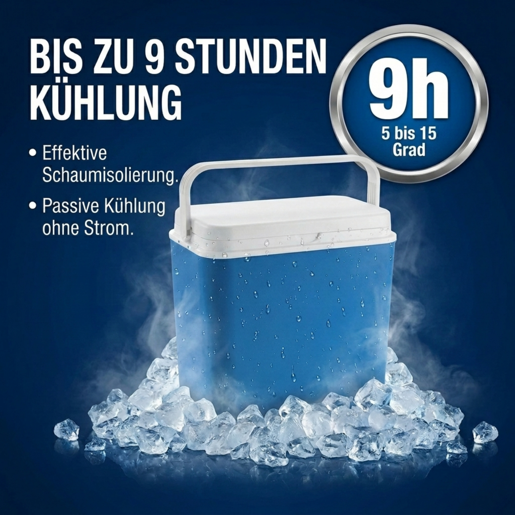 LEX Kühlbox Thermobox Warmhaltebox Picknick Camping 24 L LEX Kühlbox Thermobox Warmhaltebox Picknick Camping 24 L