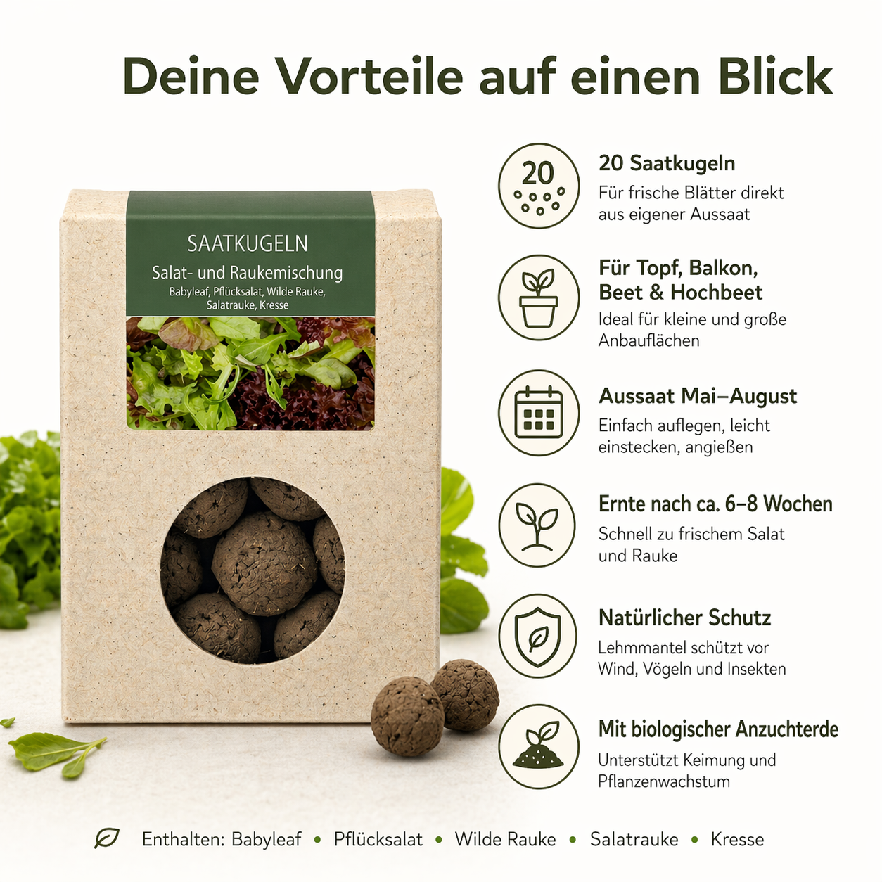 20 Stück Saatkugeln Salat- und Raukemischung – Babyleaf, Pflücksalat & Kresse 20 Stück Saatkugeln Salat- und Raukemischung – Babyleaf, Pflücksalat & Kresse