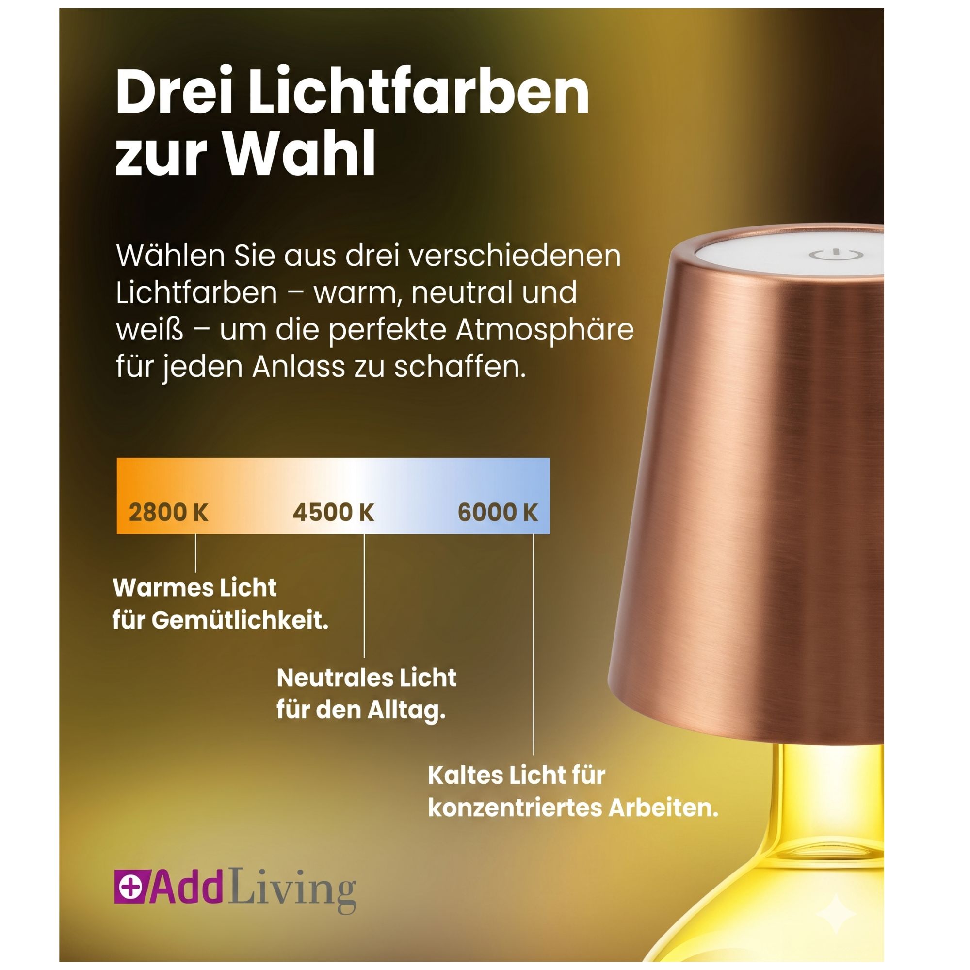 LED Flaschenlampe Bottle Light V2442 – Dimmbare Deko-Leuchte mit 3 Lichtfarben und TOUCH-Funktion für Innen & Außen Bronze LED Flaschenlampe Bottle Light V2442 – Dimmbare Deko-Leuchte mit 3 Lichtfarben und TOUCH-Funktion für Innen & Außen Bronze