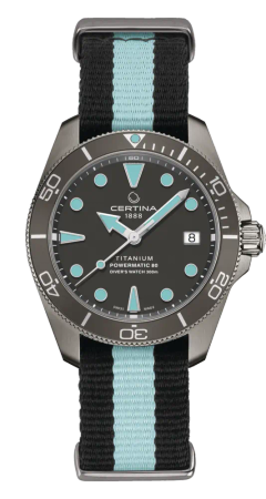 DS ACTION DIVER
