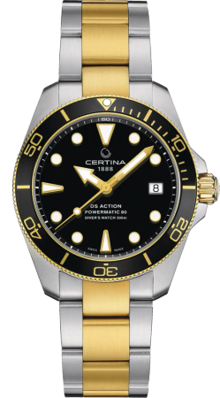 DS ACTION DIVER