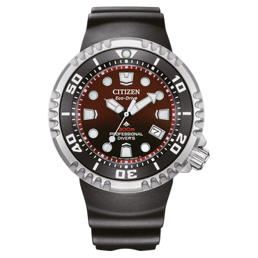 Prof. Diver 300
