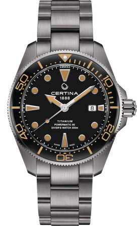 DS ACTION DIVER