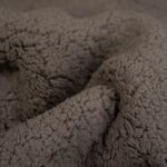 55075-2007-1.jpg