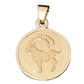 Steinbock Ketten Anhänger Goldanhänger 333 Gold rund Halsschmuck Unisex