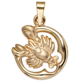 Anhänger Sternzeichen Krebs 375 Gold Gelbgold teilmattiert Horoskop