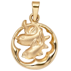 Anhänger Sternzeichen Fische 375 Gold Gelbgold teilmattiert Horoskop