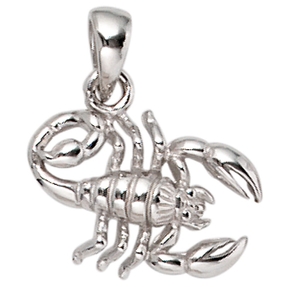 Anhänger Sternzeichen Skorpion aus 925 Echt Silber glänzend Unisex