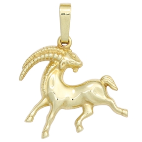 Sternzeichen Anhänger Steinbock 333 Gold Gelbgold Einhänger Halsschmuck Damen